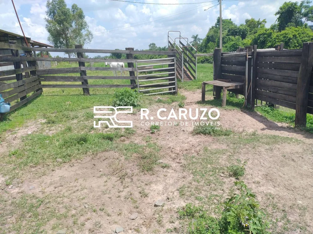 Terreno, 5 hectares - Foto 9