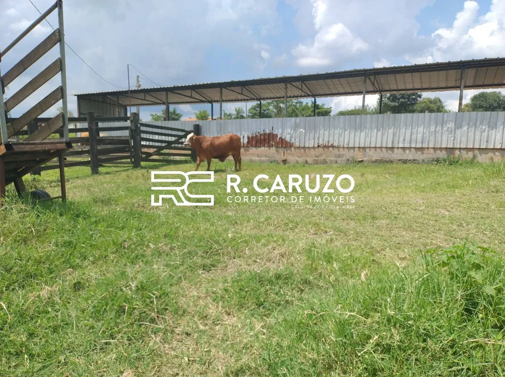 Terreno, 5 hectares - Foto 1