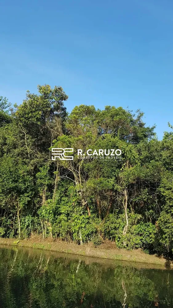 Terreno, 4 hectares - Foto 4