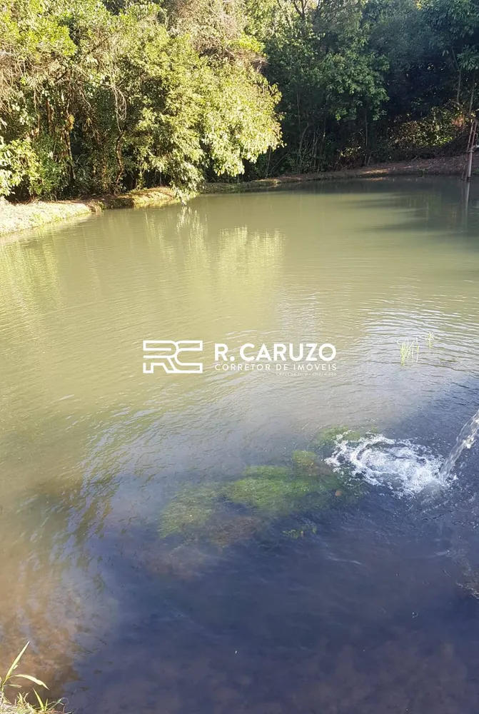 Terreno, 4 hectares - Foto 6