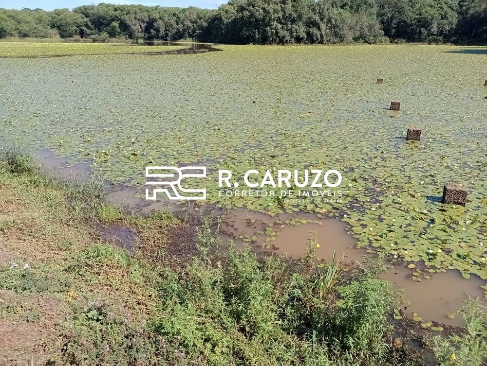 Terreno, 5 hectares - Foto 7