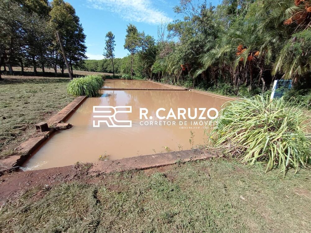 Terreno, 5 hectares - Foto 8