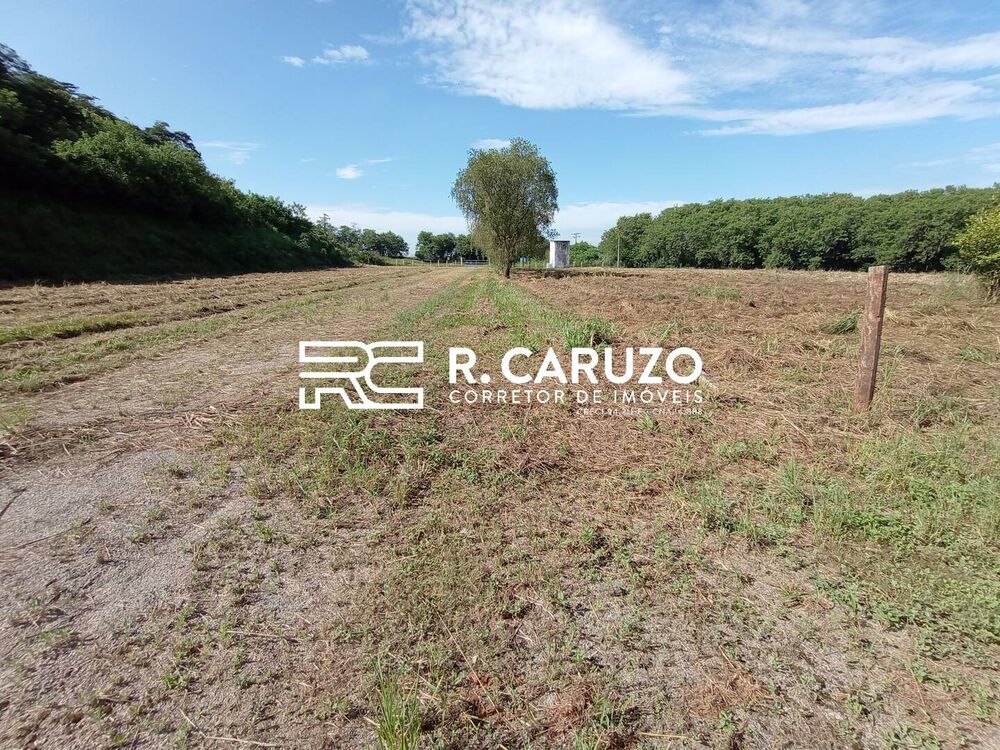 Terreno, 5 hectares - Foto 6