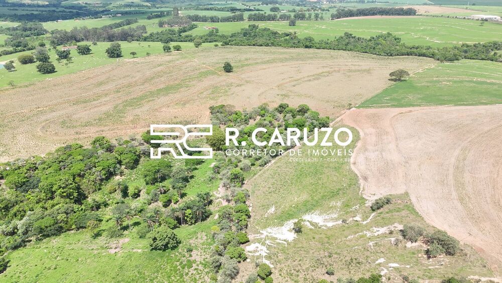 Terreno, 41 hectares - Foto 3