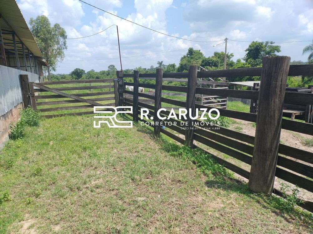 Terreno, 5 hectares - Foto 5