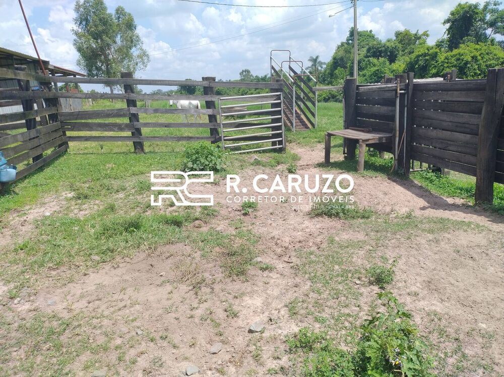 Terreno, 5 hectares - Foto 6