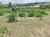 Terreno, 5 hectares - Foto 3