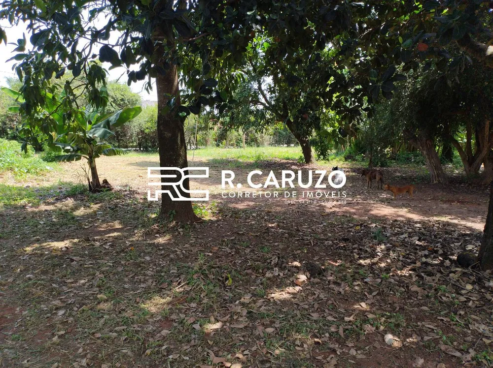 Chácara, 3 quartos, 7000 m² - Foto 7