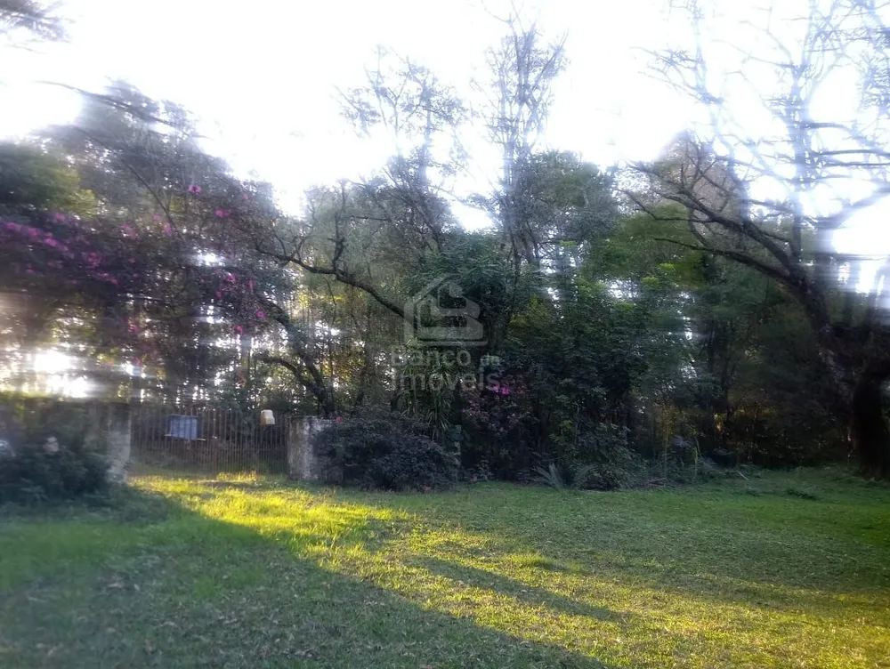 Chácara, 2 quartos, 10000 m² - Foto 6