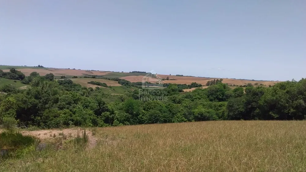 Sítio, 3 quartos, 10 hectares - Foto 3
