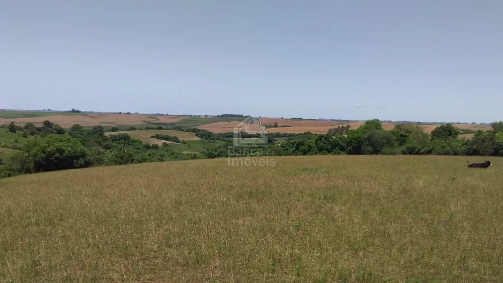 Sítio, 3 quartos, 10 hectares - Foto 2