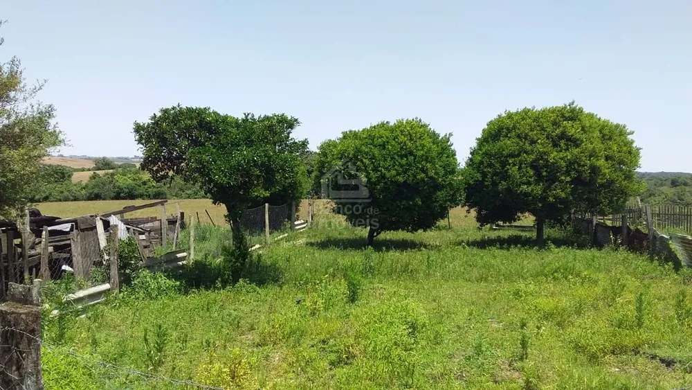 Sítio, 3 quartos, 10 hectares - Foto 13