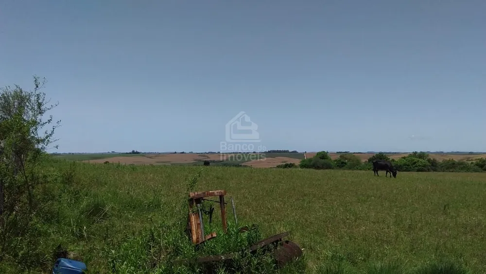 Sítio, 3 quartos, 10 hectares - Foto 4