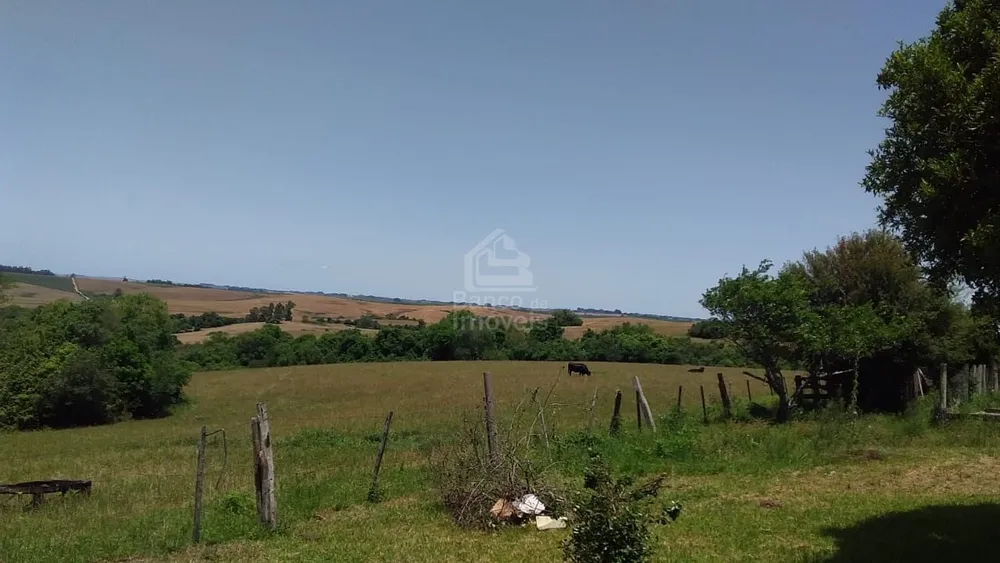 Sítio, 3 quartos, 10 hectares - Foto 12