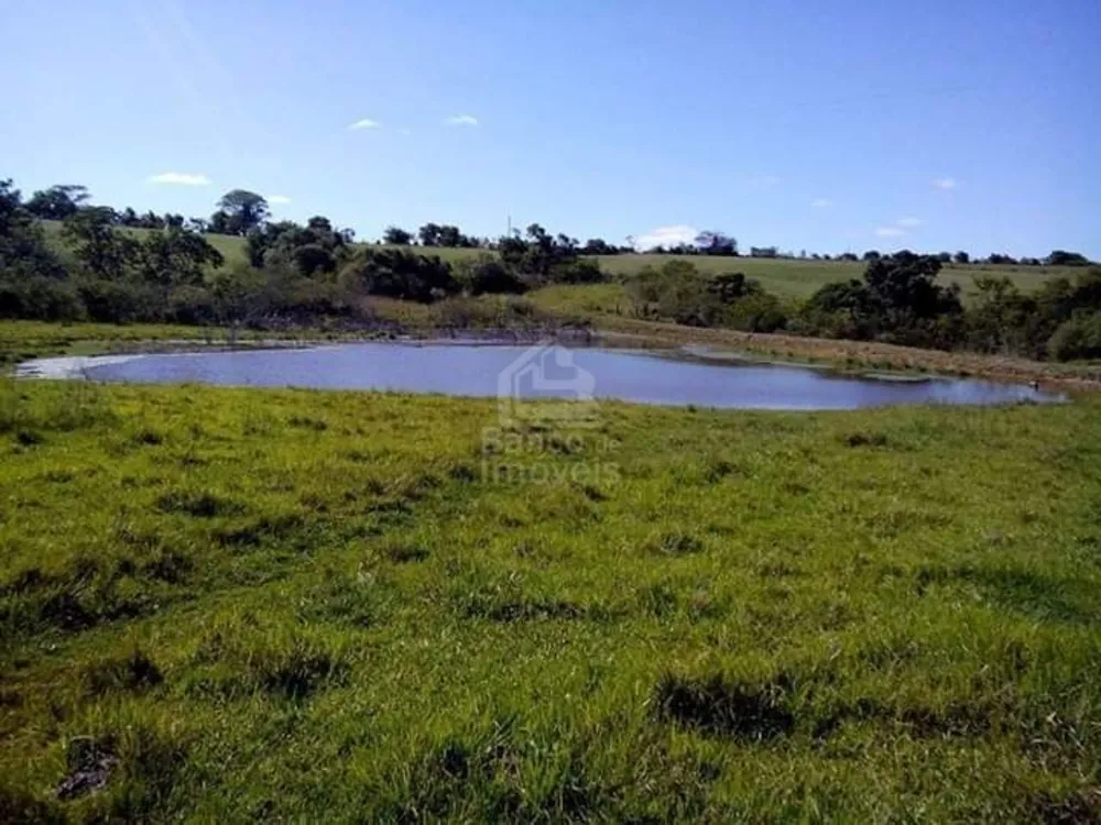 Chácara, 3 quartos, 6 hectares - Foto 1
