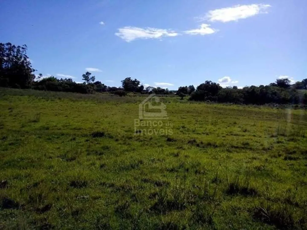 Chácara, 3 quartos, 6 hectares - Foto 2