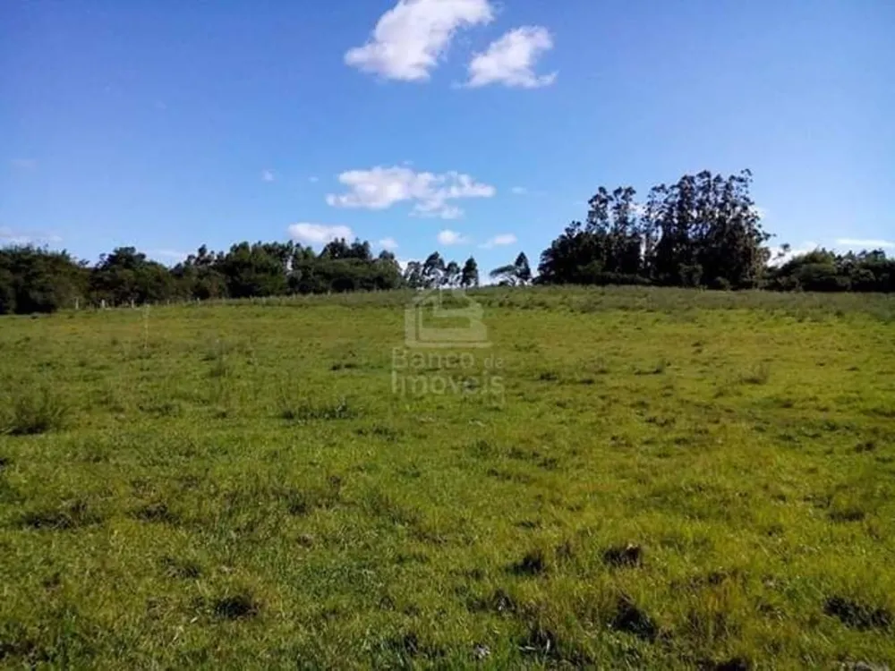 Chácara, 3 quartos, 6 hectares - Foto 3