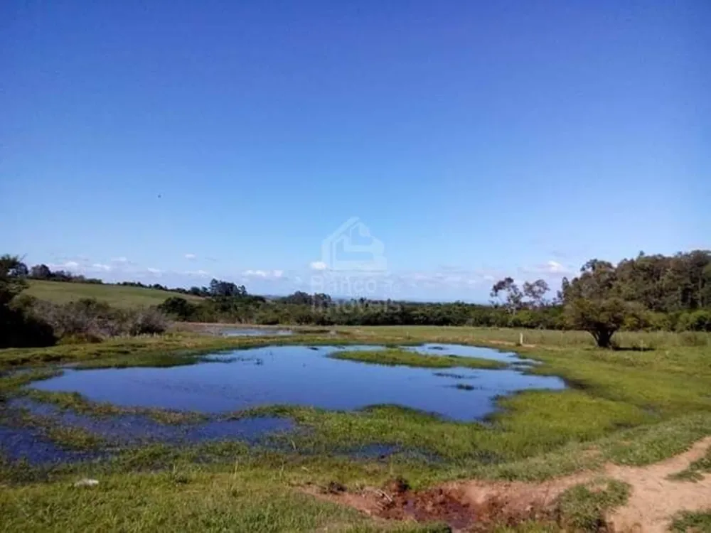 Chácara, 3 quartos, 6 hectares - Foto 4