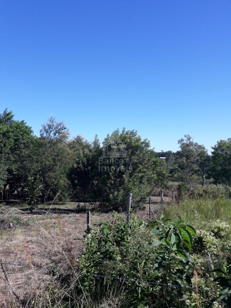 Terreno, 2535 m² - Foto 3