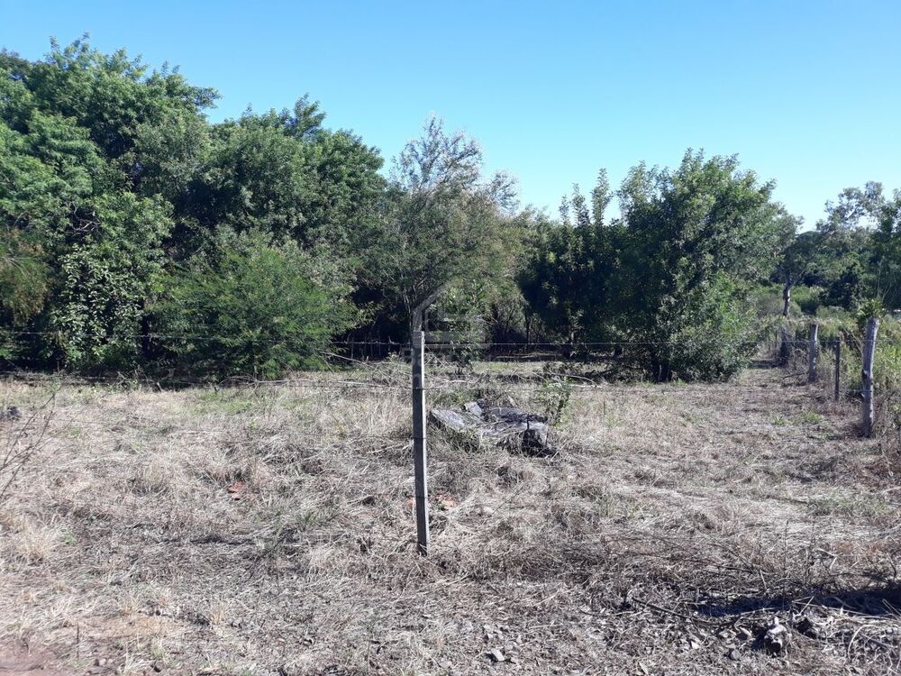 Terreno, 2535 m² - Foto 2