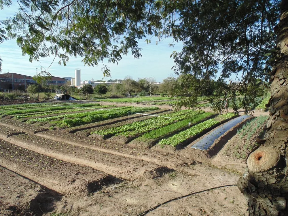 Terreno, 1 hectares - Foto 4