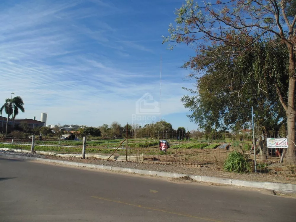 Terreno, 1 hectares - Foto 6