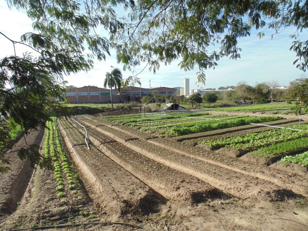 Terreno, 1 hectares - Foto 3
