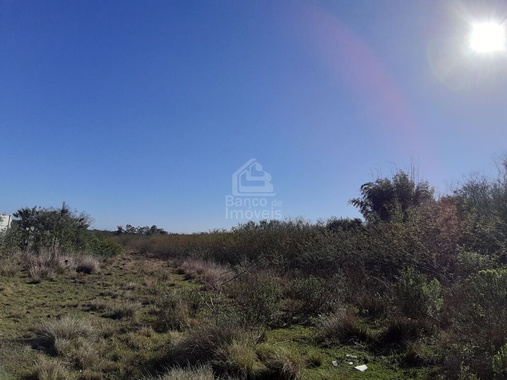 Terreno, 3 hectares - Foto 1