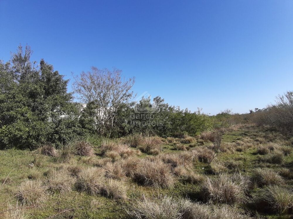 Terreno, 3 hectares - Foto 3