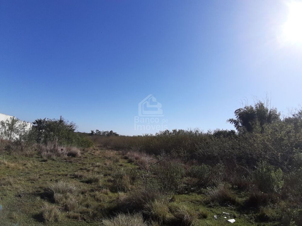 Terreno, 3 hectares - Foto 4
