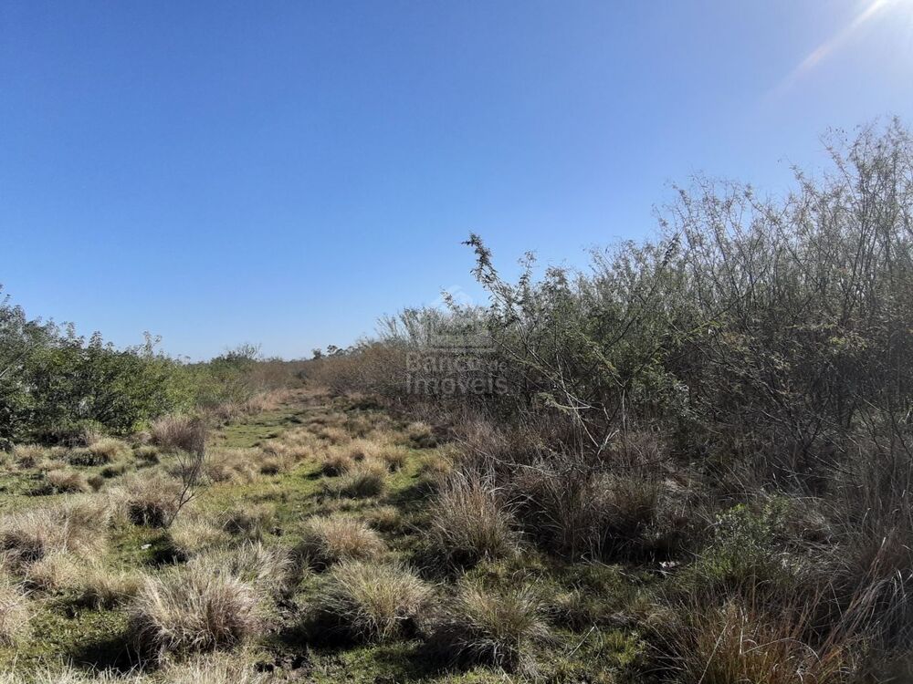 Terreno, 3 hectares - Foto 2