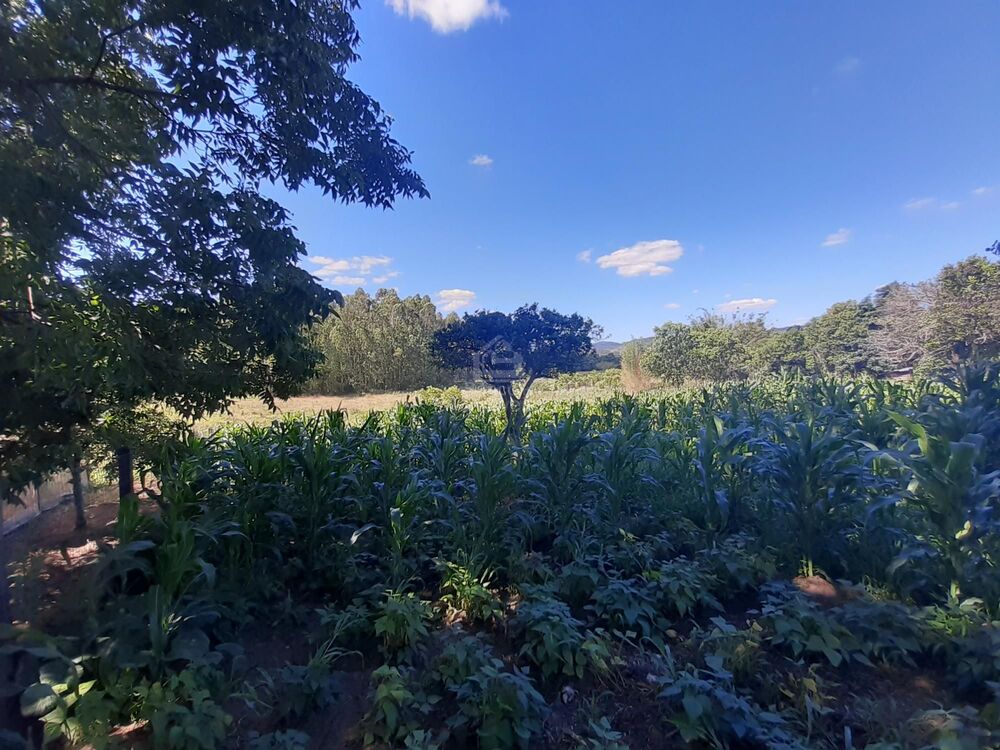 Chácara, 2 quartos, 15 hectares - Foto 10