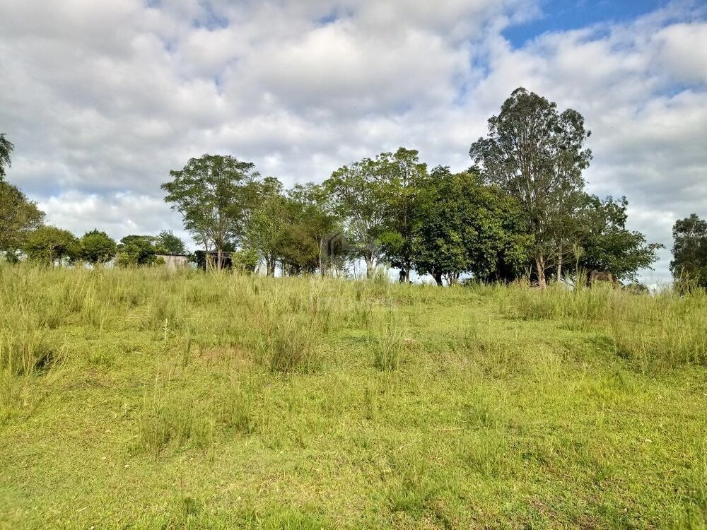 Terreno, 5000 m² - Foto 6