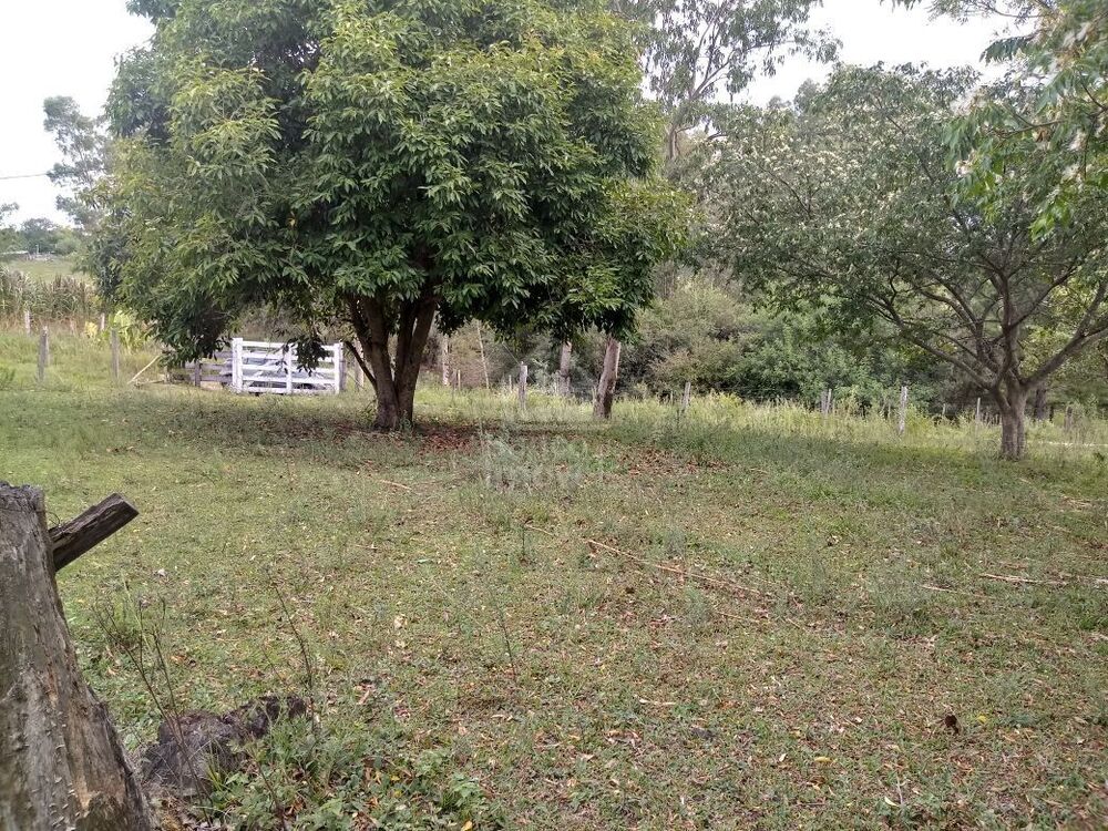 Terreno, 5000 m² - Foto 3