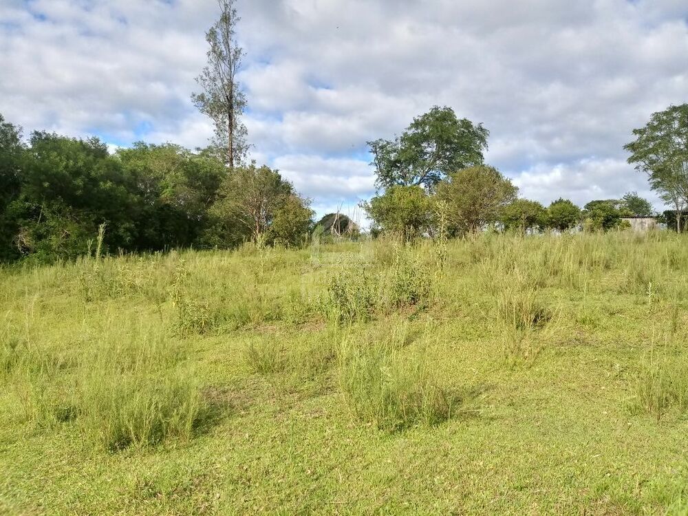 Terreno, 5000 m² - Foto 7