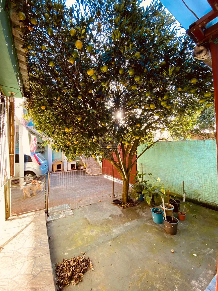 Casa, 5 quartos, 170 m² - Foto 13