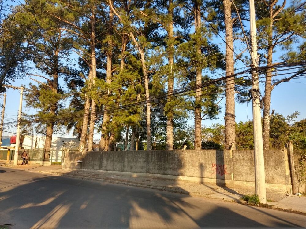 Terreno, 5439 m² - Foto 3