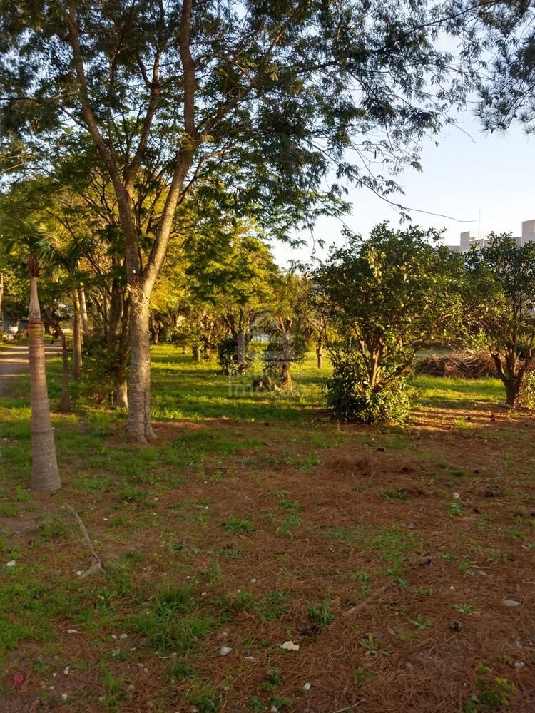 Terreno, 5439 m² - Foto 1