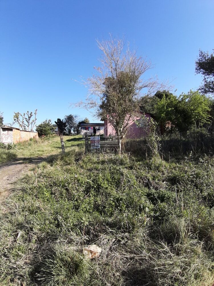 Terreno, 1000 m² - Foto 6