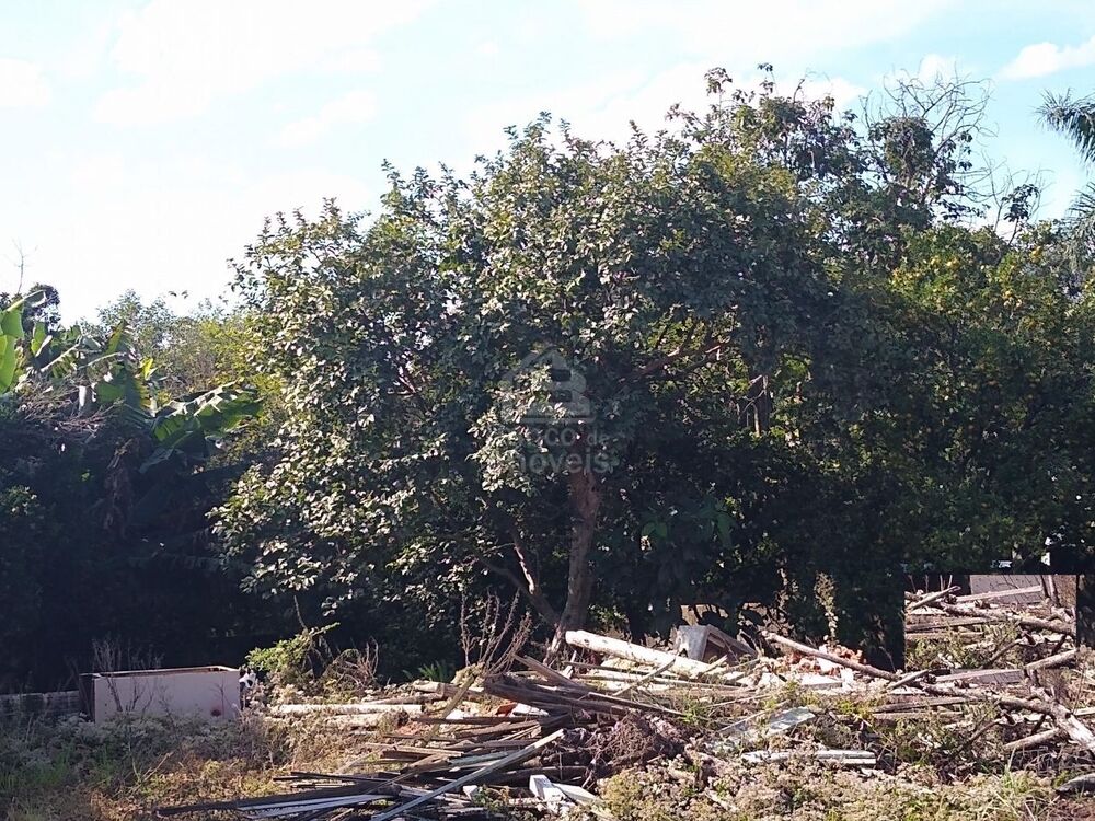 Terreno, 608 m² - Foto 4