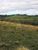 Chácara, 5000 m² - Foto 4