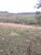 Chácara, 5000 m² - Foto 3