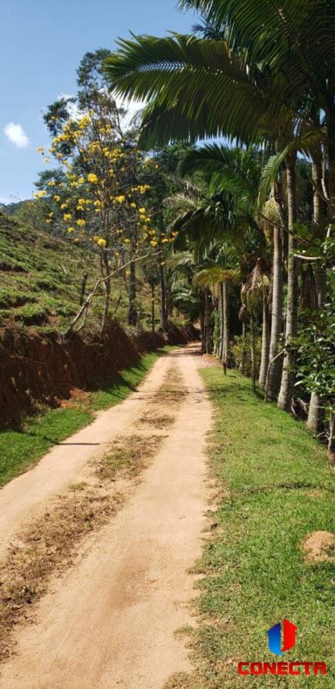 Sítio à venda com 4 quartos, 70000m² - Foto 15