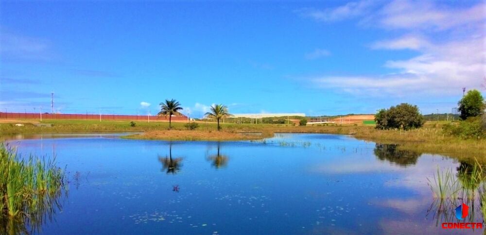 Terreno, 800 m² - Foto 5