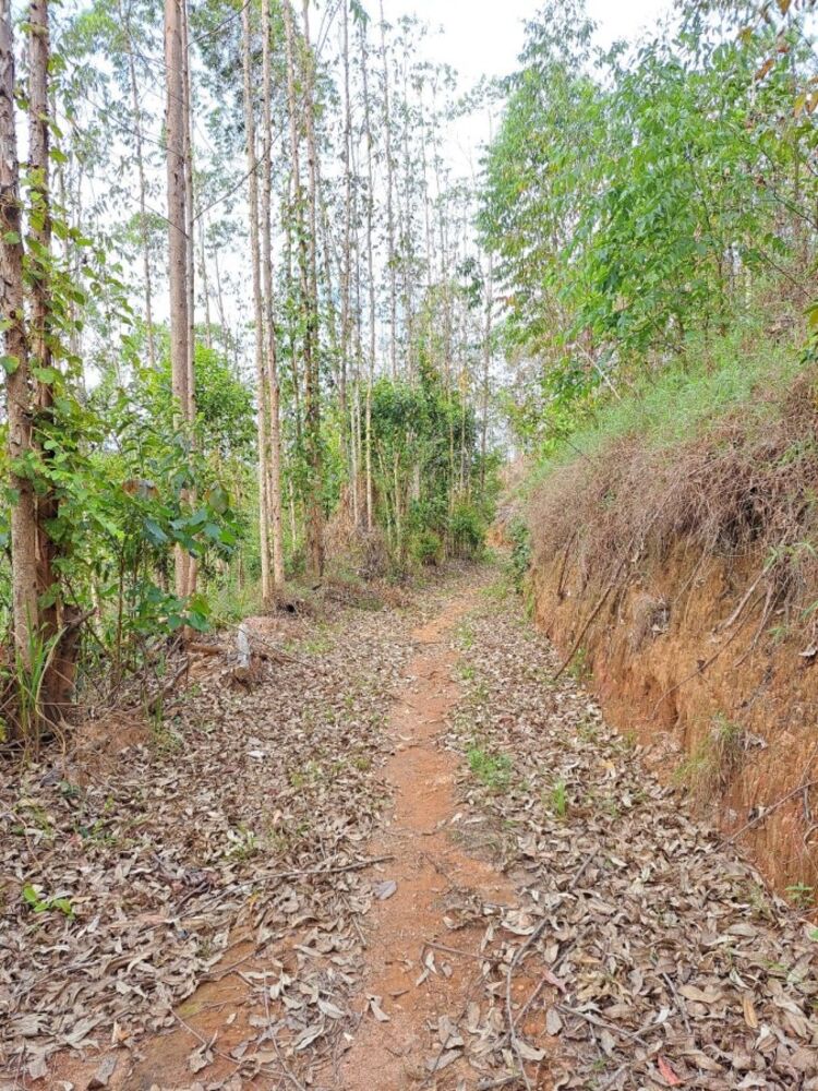 Terreno à venda, 10m² - Foto 15