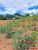 Terreno, 10 m² - Foto 13