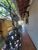 Casa, 2 quartos, 120 m² - Foto 3