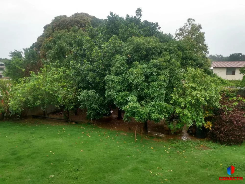 Terreno à venda, 1640m² - Foto 4