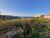 Terreno, 420 m² - Foto 5