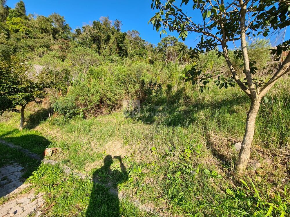 Terreno, 180 m² - Foto 1